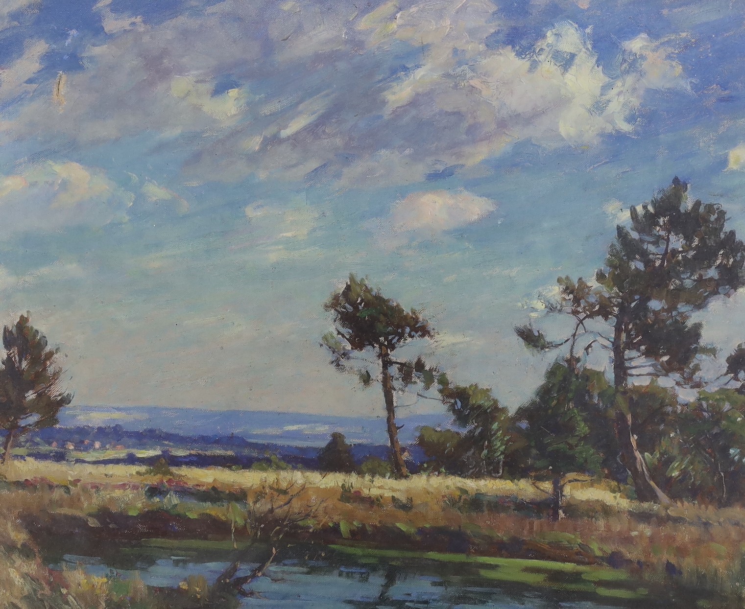 Thomas Todd Blaylock (1876-1929), oil on canvas, Extensive landscape with pine trees, signed, 40 x 50cm